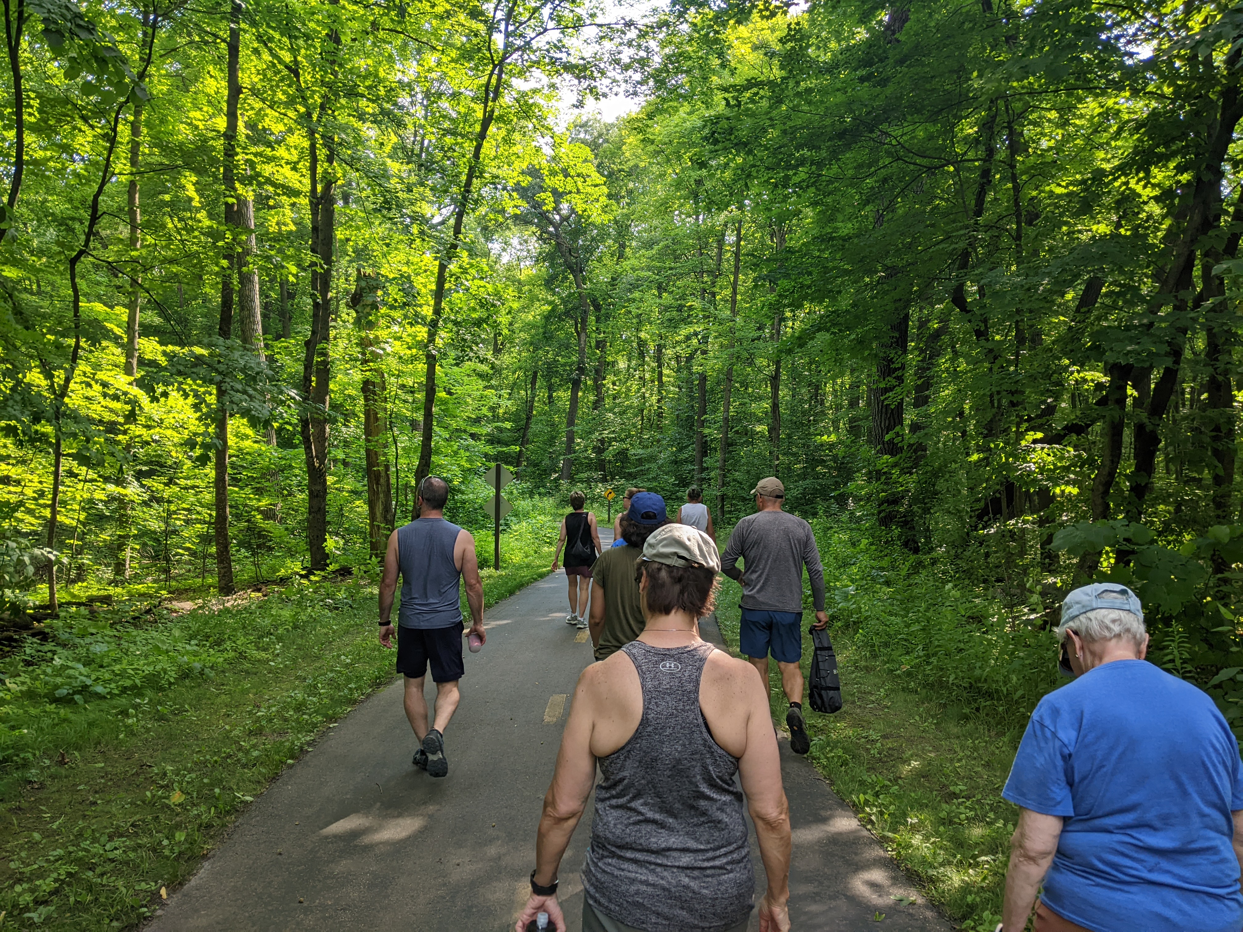 A group of people leisurely walk down a paved path in the woods. They are spread out, walking in pairs. The sunlight dapples the path through the leaves. We look on from behind the people.