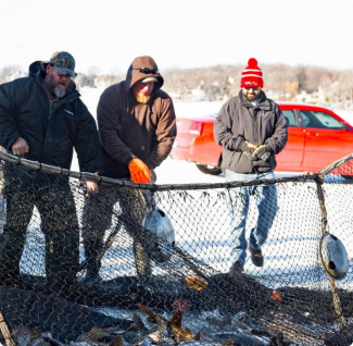 Staff managing carp
