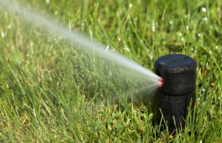 Sprinkler