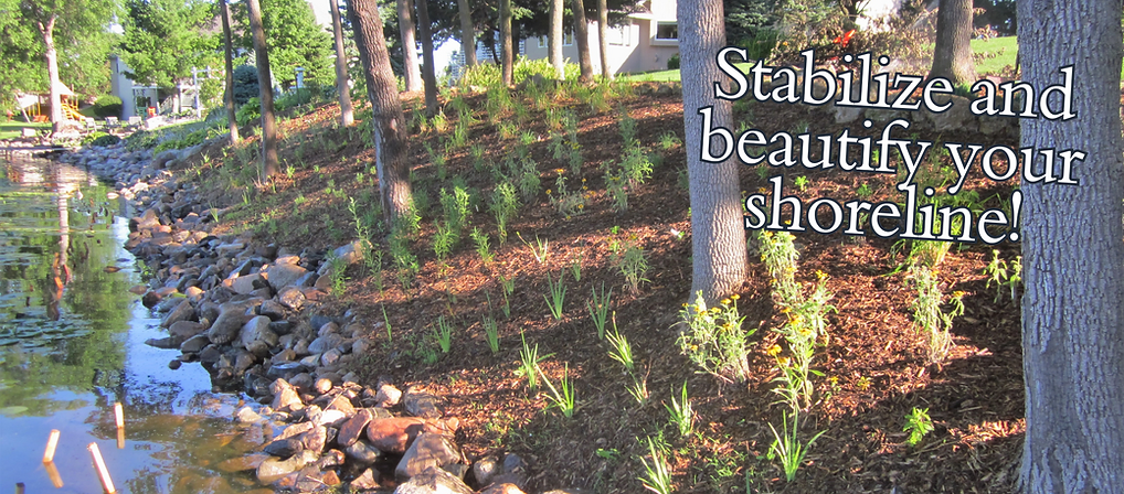 image for Free Shoreline Stabilization Workshop