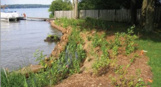 Image slide of Native Plantings